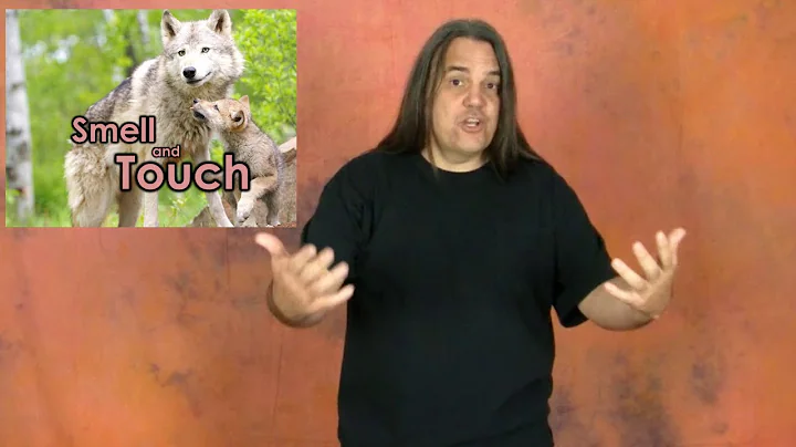 Human Design: Intro to Tribal Circuitry