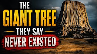 The Giant Tree They Say Never Existed - Devils Tower 