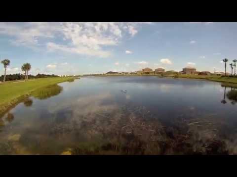 Bass Fishing - Swimming Through Eel Grass