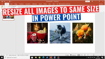 How to rezise all images to same size in PowerPoint