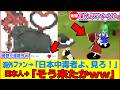 【ゆっくり解説】超バズった！海外の東方ファンによる面白い東方ミーム・ツイートまとめ!