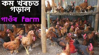 Local murgi farm in assam // দানা, গড়াল , লাভালাভৰ সকলো তথ্য screenshot 1