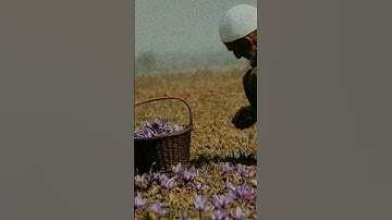 سورة الرعد القارئ :عبدالله خياط رحمه الله