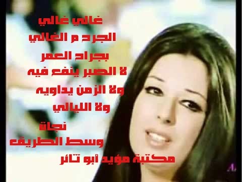 نجاة وسط الطريق حفلة مكتبة مؤيد أبو ثائر