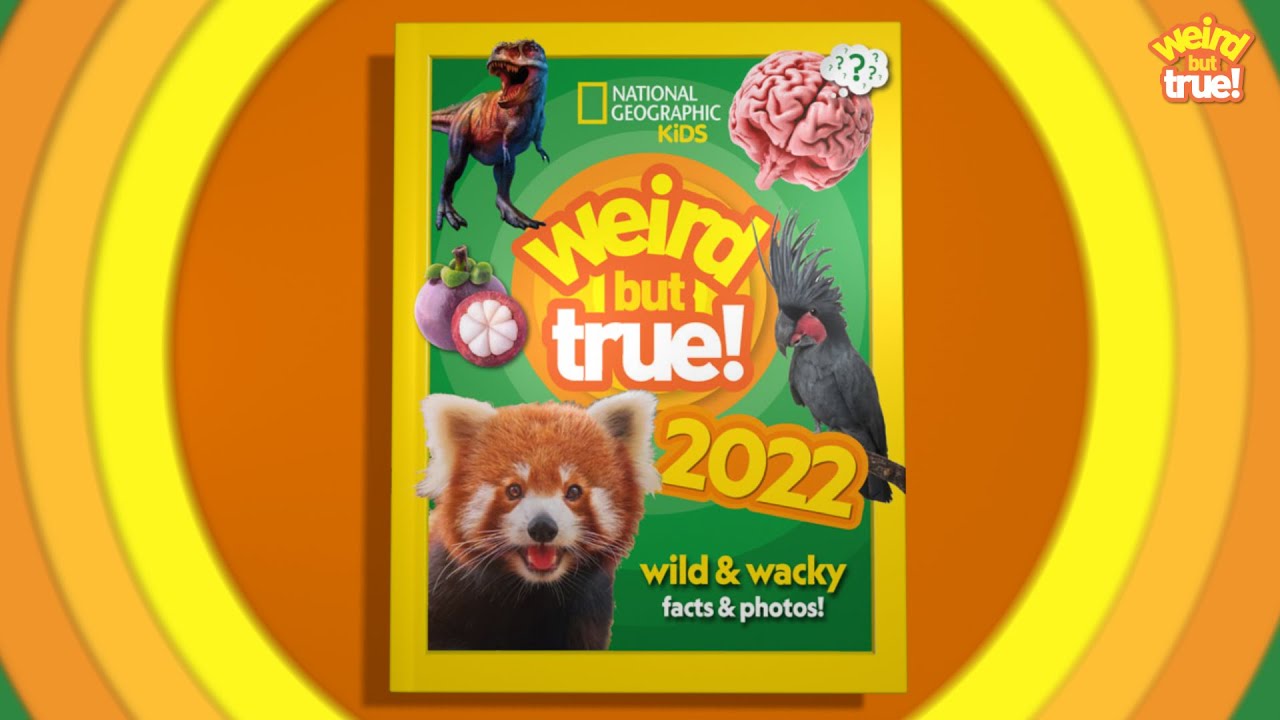 National Geographic Kids Weird But True 2022 Wild And Wacky Facts National geographic kids weird but true 2022 wild and wacky facts