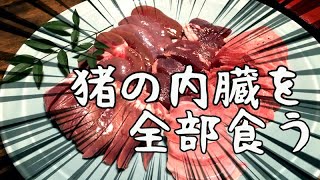 【ジビエ料理】イノシシ希少部位と珍味の内臓。猟師が経営する民宿でレア肉を食べる夜