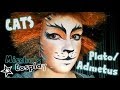 Plato/Admetus ~ CATS || Make up timelapse [HD] 🐾