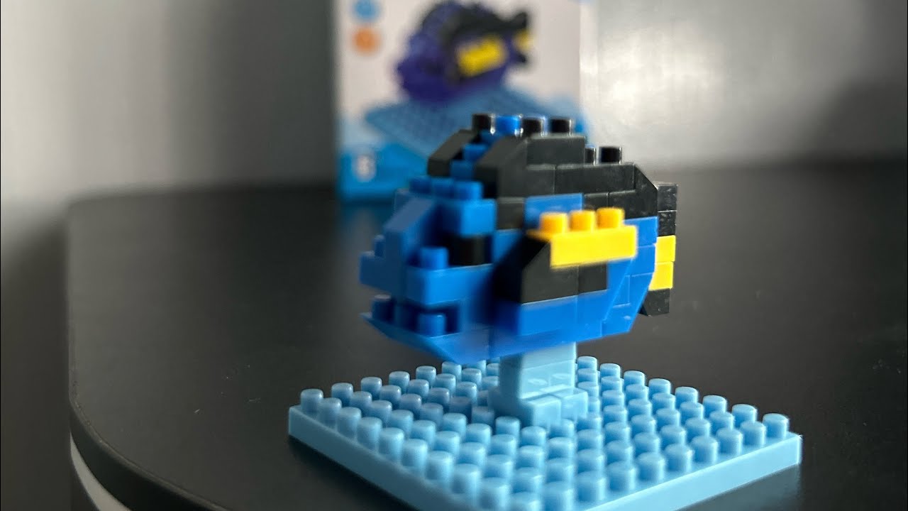 Micro Blocks - Finding Dory