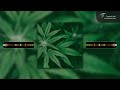 Chamba Ngachitsve Remix - Weedmasters ( Official Music Visualizer)