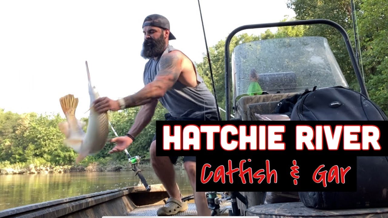 Gatcher Fish Catching Catfish and Gar on the Hatchie River - YouTube