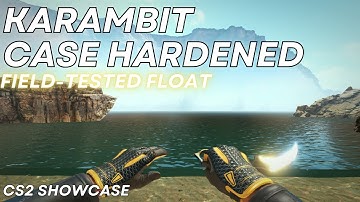 Karambit Case Hardened (Field-Tested) | CS2 Skin Showcase #1491