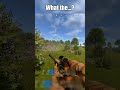 What the...?