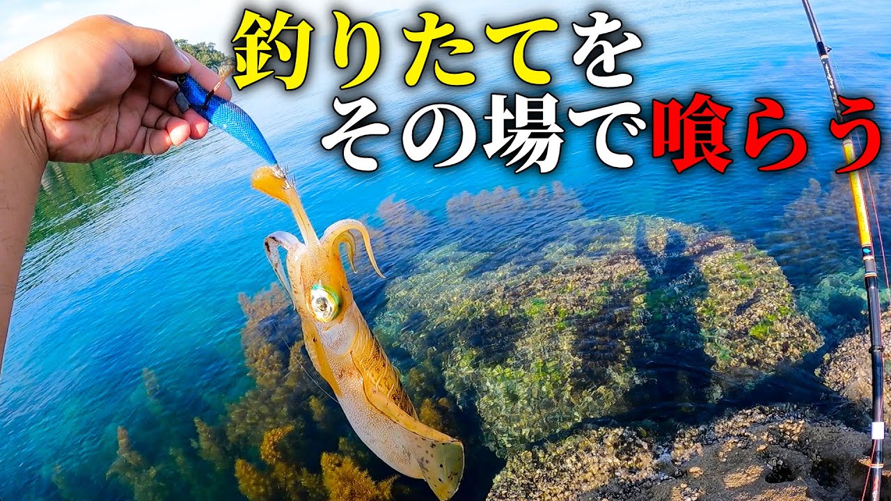 【究極の鮮度】春の無人島に渡ってエギングでアオリイカを釣り、その場で料理する最高のデイキャンプ。