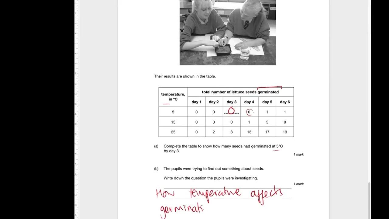 KS3 Biology Exam Questions Seeds & Germination YouTube