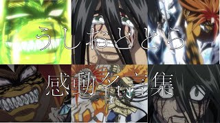 [Tik Tok 80万再生突破]アニメ/うしおととら　感動　名言集・名場面集　MAD　〜平井 大 / 祈り花 2020