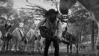 Video thumbnail of "Vinicio Capossela "Scorza di mulo" - Canzoni della Cúpa"