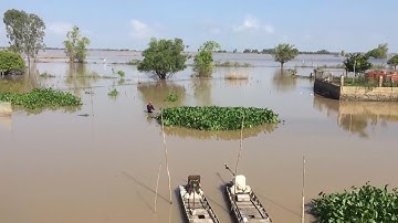 Mưa lũ đã về An Giang