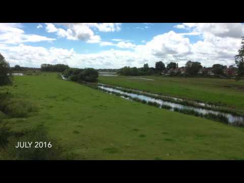 A Year in the Life of a Floodplain