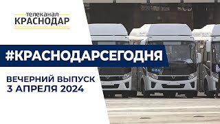 Автопарк Краснодара пополнился на 37 автобусов, в городе высадили Крымскую сосну.