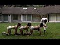 The human centipede film 2009  le journal extrait de film