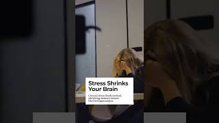 How Chronic Stress Alters Brain and Mood