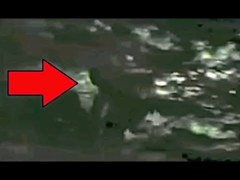 5 Best "REAL BIGFOOT" Videos That Will Make You A True Believer!!