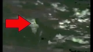 5 Best BIGFOOT Videos That Will Make You A True Believer!!
