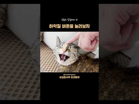 하악질 버튼을 눌러보자👹 오늘의 승질머리 thumbnail