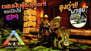 ผสมพันธุ์Raptorและฟักไข่!! - Ark Survival Evolved #9