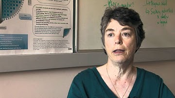 The University of Canterbury e-Learning Lab presented by Professor Niki Davis, Director