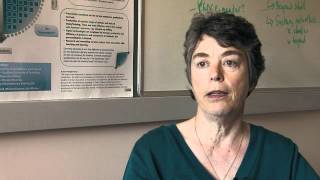 The University of Canterbury e-Learning Lab presented by Professor Niki Davis, Director