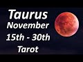 Taurus! You Are Right, Trust Your Intuition, It Is Spot On! November 2020 Reading