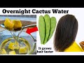 SPEED UP HAIR GROWTH With OVERNIGHT CACTUS WATER FOR HAIR growth