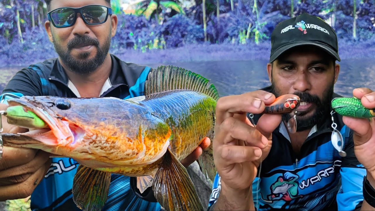 ഓണത്തിന് എനിക്ക് കിട്ടിയ സമ്മാനം...😱😍 #snakehead #fishingvideo #edit #nemesis #fozzil #malluhuntrz #