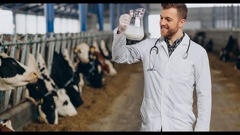 Identification and Antimicrobial Susceptibility Patterns of Staphylococcus aureus in Mastitic Cases