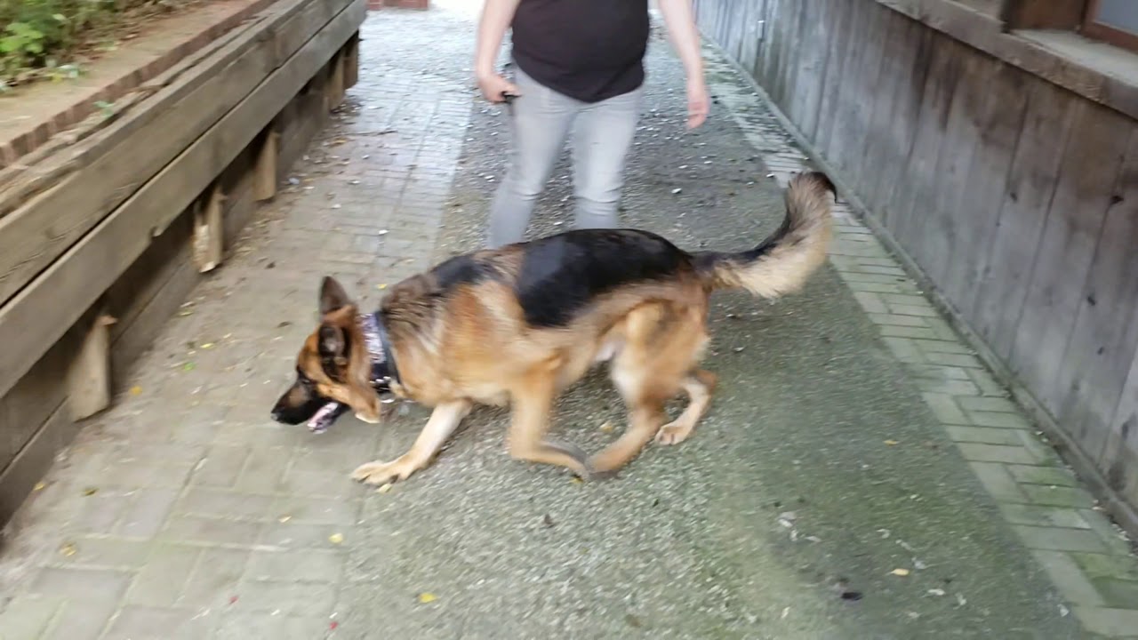 Blaze or Bust - Discreet Smoker pt 2