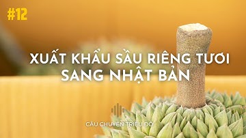 Xuất khẩu sầu riêng tươi sang Nhật Bản | Câu Chuyện Triệu Đô - Podcast #12