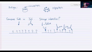 Bioanalytical Chemistry: Antibody Avidity & Multivalency