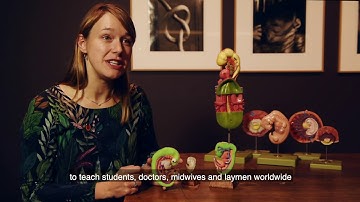 Amsterdam Science & Innovation Award finalist - B. de Bakker, M. vd Hoff, R. Oostra and J. Hagoort