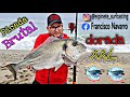 🔴 otro fin de semana y la volvimos a liar con esta Dorada XxL sargos y herreras a Surfcasting 🔴