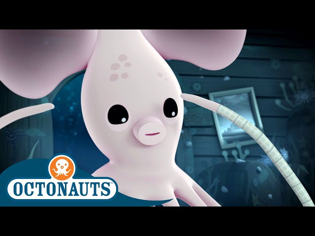 Octonauts - Long Armed Squid & The Fiddler Crabs | Cartoons for Kids | Underwater Sea Education class=