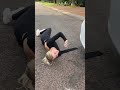 SHE GOT HIT BY A CAR AND THEN THIS HAPPENED!! #shorts #viral #comedy #relatable