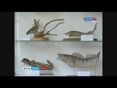 стирке уровень воды в волге саратов 2017 образом