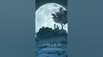 سنريهم آياتنا في الآفاق وفي أنفسهم الشيخ د ياسر الدوسري 
