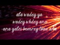 Nancy Ajram- Ana Yalli Bahebak with lyrics