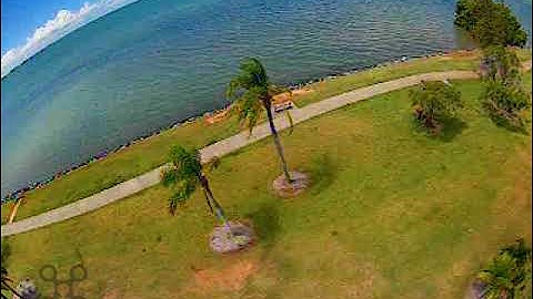 Apex 3" Micro First Flight New Spot