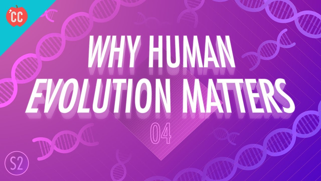 Why Human Evolution Matters: Crash Course Big History 204