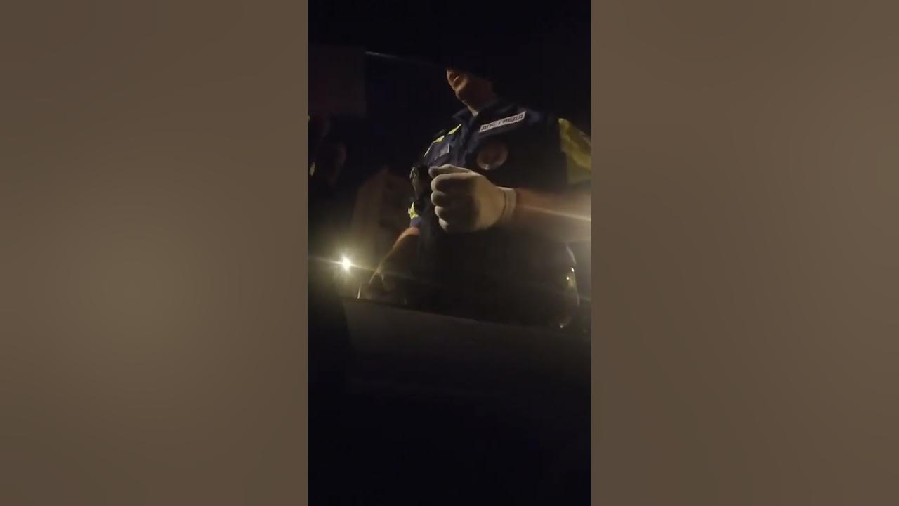 Операция анаконда в полиции. Операция анаконда в полиции