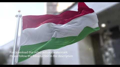 Hungary flag with 3d effect blowing in the wind 3D Flag V2 long