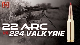 22 ARC vs 224 Valkyrie